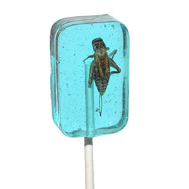 Hotlix Cricket Lick it Sucker Blueberry, 1 oz.