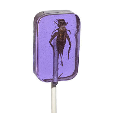 Hotlix Cricket Lick it Sucker Grape