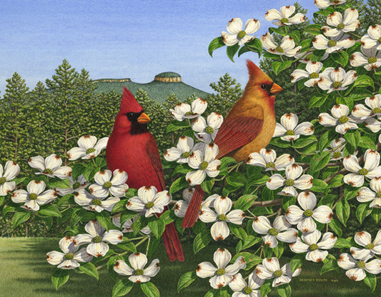 Carolina Calling - 550 Piece Jigsaw Puzzle