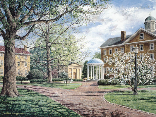 The Old Well at Chapel Hill - 550 Piece Jigsaw Puzzle