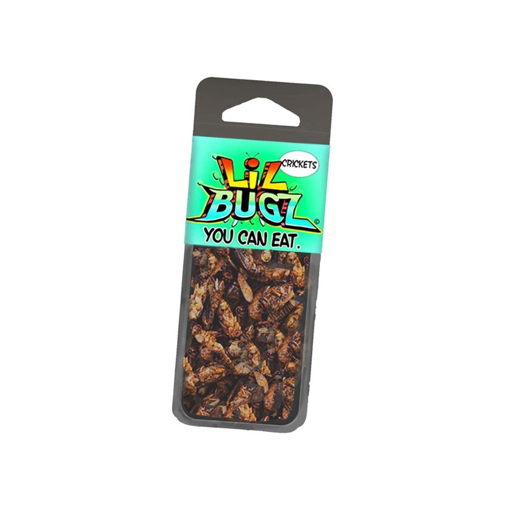 Lil Bugz Crickets
