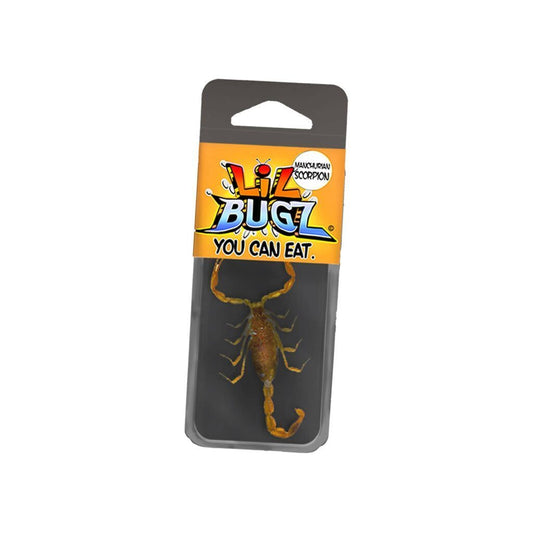 Lil Bugz Scorpion