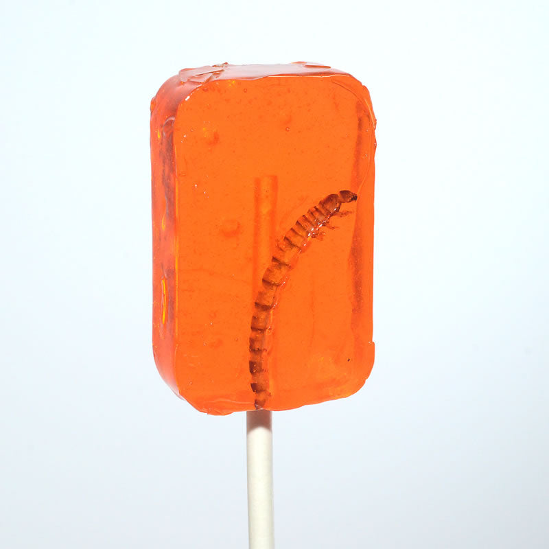 Hotlix Worm Sucker Orange