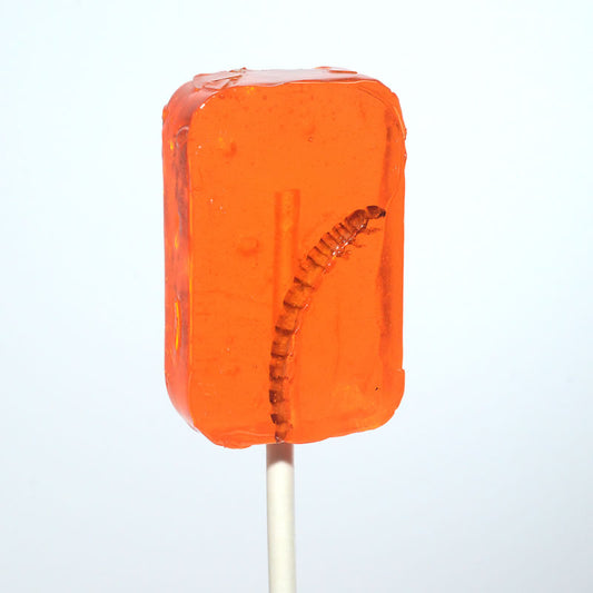 Hotlix Worm Sucker Orange